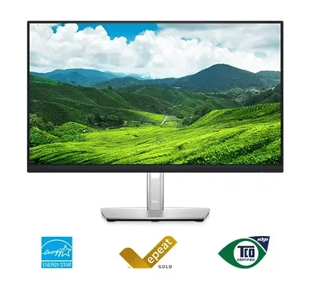 Dell P2422H 23.8​