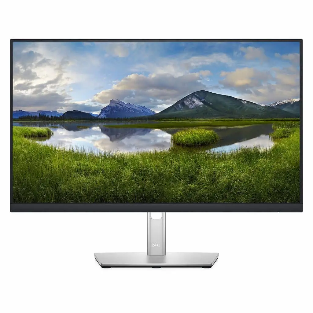 Dell P2422H 23.8​"